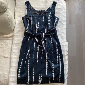 Ann Taylor Dress